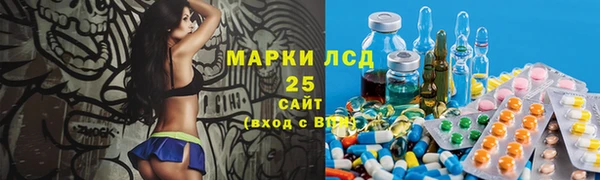 индика Каменка