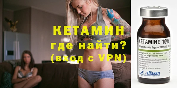 индика Каменка