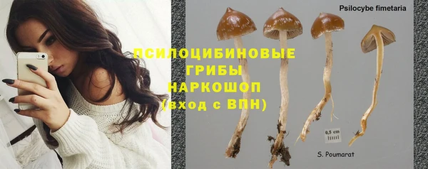индика Каменка