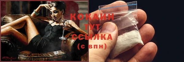 индика Каменка