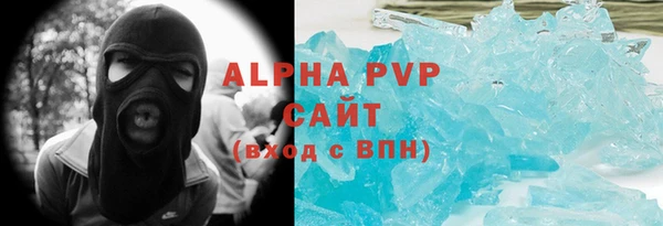 индика Каменка