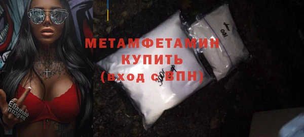 индика Каменка
