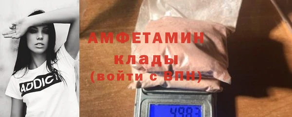 индика Каменка