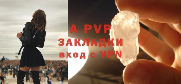 индика Каменка