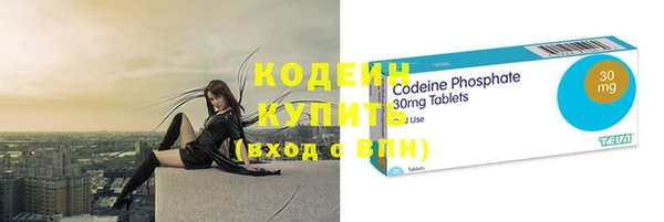 индика Каменка