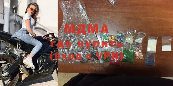 индика Каменка