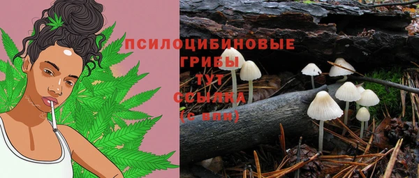 прущий лед Каменногорск