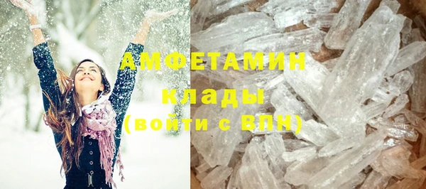 индика Каменка