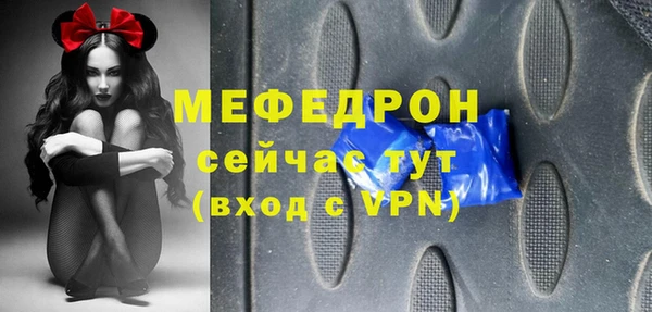 индика Каменка