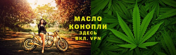 индика Каменка