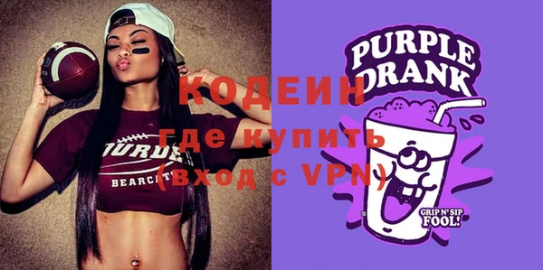 индика Каменка