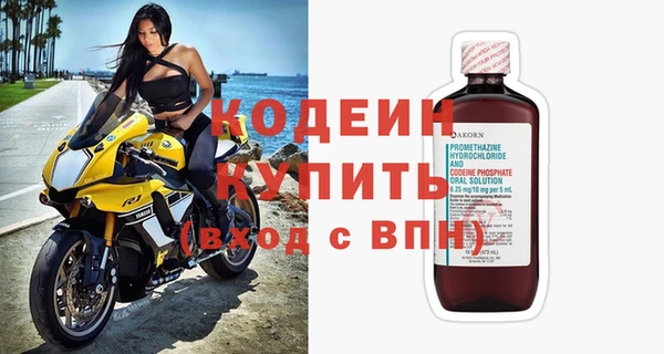 индика Каменка