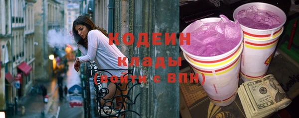 индика Каменка