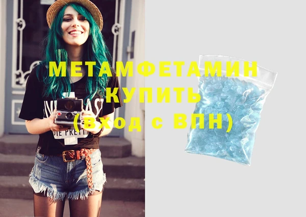 индика Каменка