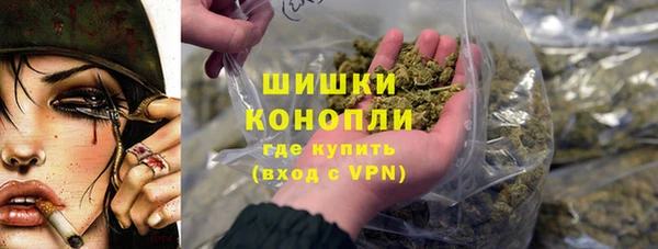 индика Каменка