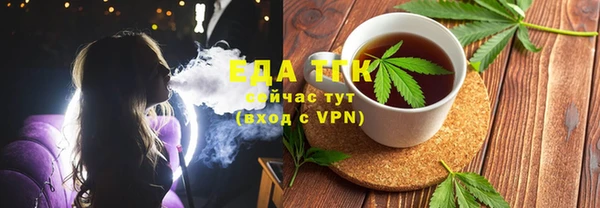 индика Каменка
