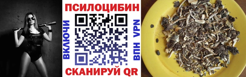 Псилоцибиновые грибы Magic Shrooms Бикин